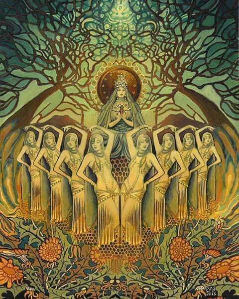 Who are the Mellasae?