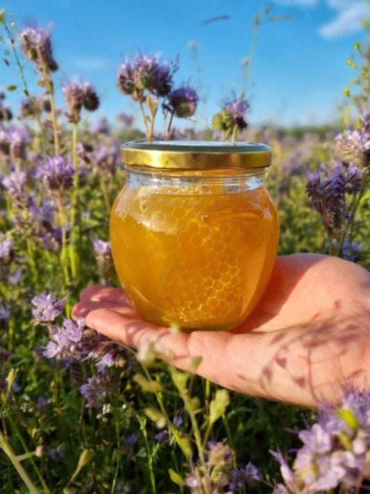 10kg Raw Honey